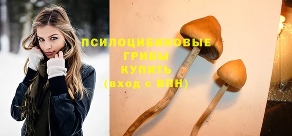 ALPHA PVP Горняк