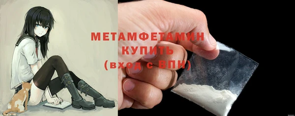 прущие грибы Вязьма