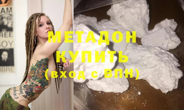 прущие грибы Вязьма