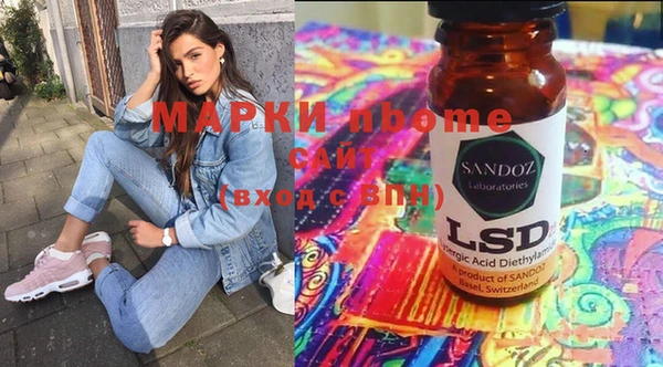 прущие грибы Вязьма