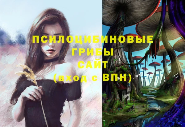 ALPHA PVP Горняк