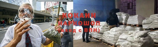 прущие грибы Вязьма