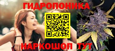 ешки Канаш