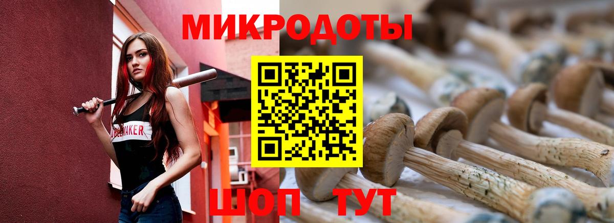 купить наркотик  Псилоцибиновые грибы GOLDEN TEACHER  Минеральные Воды  Вход с VPN  Галлюциногенные грибы MAGIC MUSHROOMS 