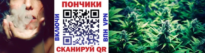 МАРИХУАНА сатива  Минеральные Воды 